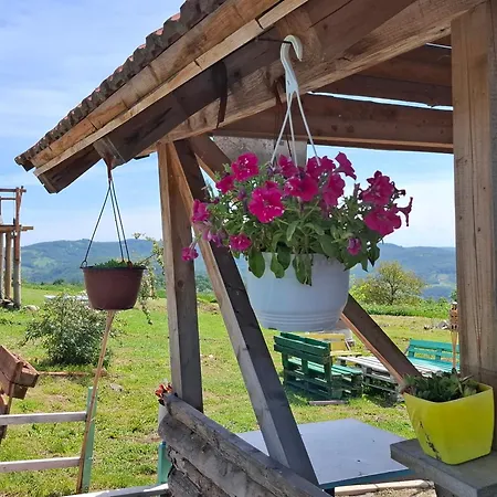 Feliks Διαμέρισμα