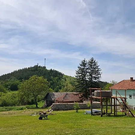 Διαμέρισμα Feliks Resavica