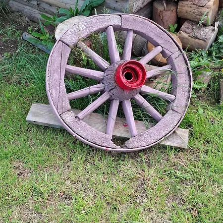 Feliks Διαμέρισμα