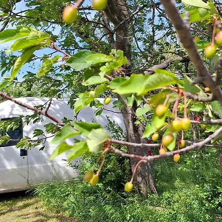 Feliks Διαμέρισμα *