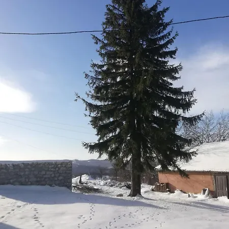 Feliks 公寓 Resavica