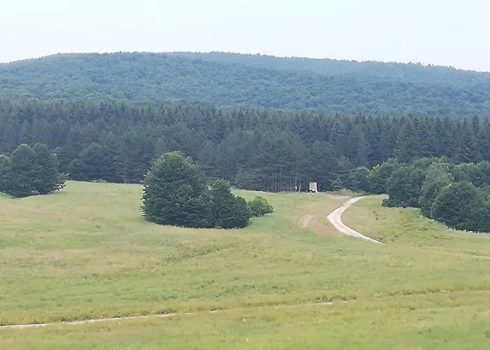 דירה Feliks Resavica