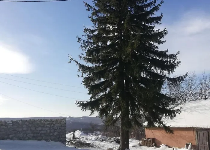 Feliks דירה Resavica